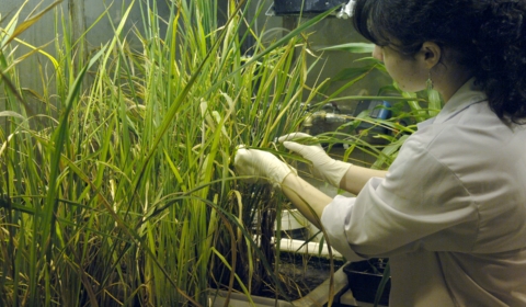 7347618236_5f0022e208_o